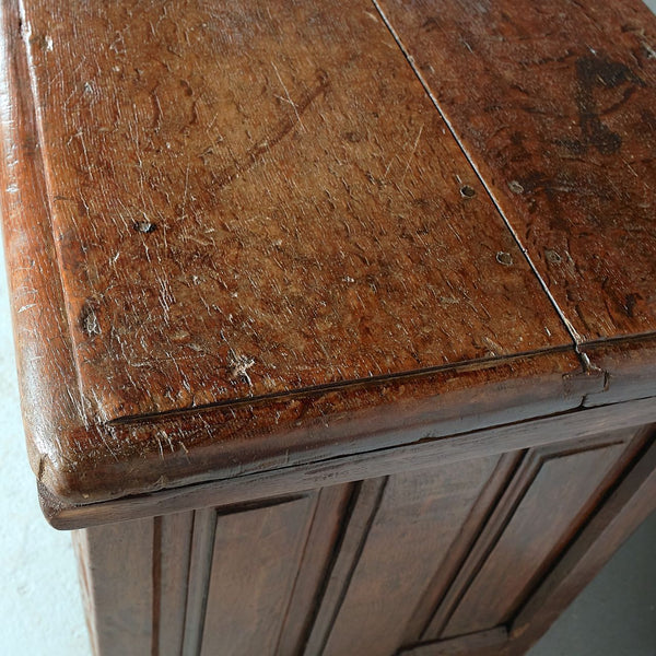 Antique carved Basque arms chest, oak