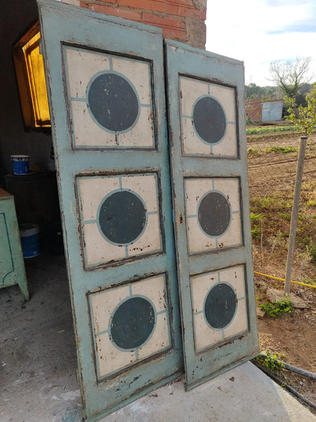 Antique two-panel painted library door