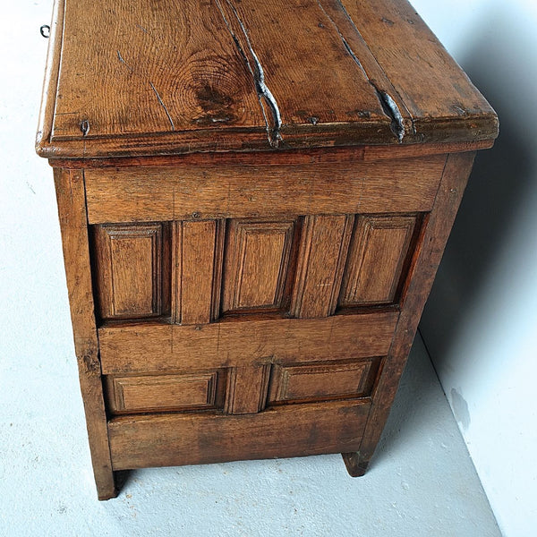 Antique carved and paneled Basque arms chest, oak