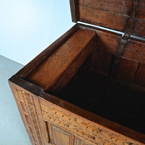 Antique carved and paneled Basque arms chest, oak